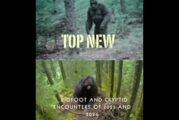 Top New Bigfoot and Cryptid Encounters of 2025 and 2026
