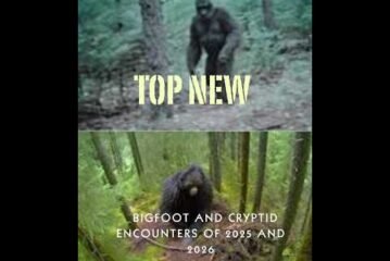Top New Bigfoot and Cryptid Encounters of 2025 and 2026