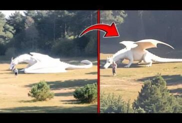 Mythical Creatures Caught on Camera!