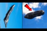 Real UFO Sightings 2026 | Shocking Unseen UFO Footage Caught on Camera