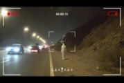 They Aren't Folklore Anymore: Real Cryptids Spotted in 2025