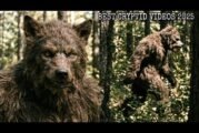 Every CLEAR Cryptid Video Released in 2025!