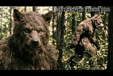 Every CLEAR Cryptid Video Released in 2025!