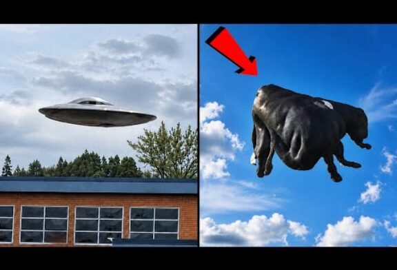 Real UFO Sightings 2026 | Mind-Bending UAP & Unexplained Phenomena Caught on Camera