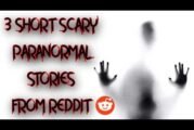 Reading some Paranormal Reddits. ( feat. Christina & son Ghost Squad )