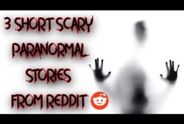 Reading some Paranormal Reddits. ( feat. Christina & son Ghost Squad )