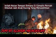 Live Misteri‼️Misi Dari Si Cemplis Memasuki Kawasan Para Siluman Ganas Yg Pernah Kutuk Si Cemplis