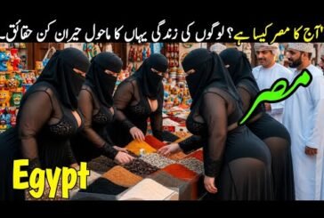 Travel To Egypt 2025 🇪🇬 | History, Amazing Facts & Urdu/Hindi Documentary | مصر کی سیر