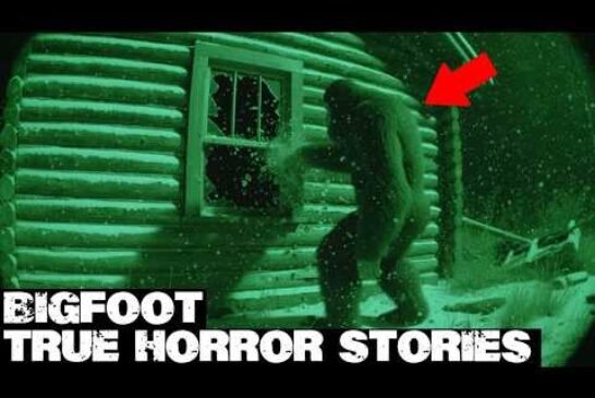 3 Hours of Truly Scary Bigfoot Encounters | BIGFOOT Documentary 2025 | Vol. 375 | #bigfoot 2025