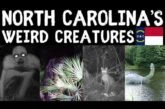 Exploring North Carolina's Weird Creatures: Myths and Legends of the United States