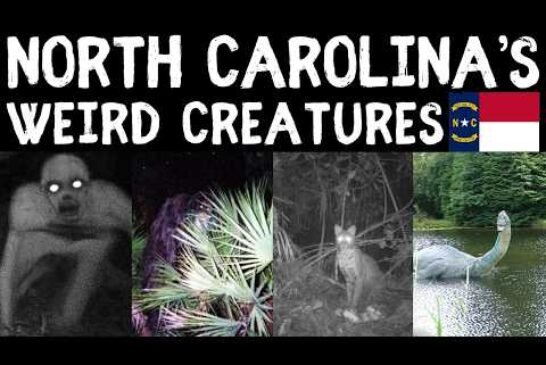 Exploring North Carolina's Weird Creatures: Myths and Legends of the United States