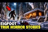 4 Hours of the Scariest Bigfoot Encounters | BIGFOOT Documentary 2025