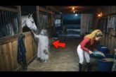 27 Real Scary Videos That Show Ghost Sightings Caught on Camera