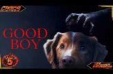 Good Boy (2025): Paranormal Activity From a Dog's POV | The Critics Collective
