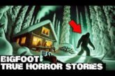 3 Hours of Truly Scary Bigfoot Encounters | BIGFOOT Documentary 2025 | Vol. 486 | #bigfoot 2025