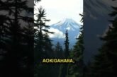 Creepy Mystery #HauntedTokyo #UrbanLegends #GhostStories #Aokigahara #HiddenHistory UFO sightings